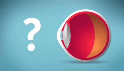 微信图片_20210812104127